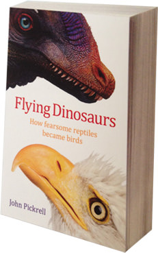 Flying Dinosaurs by John Pickrell