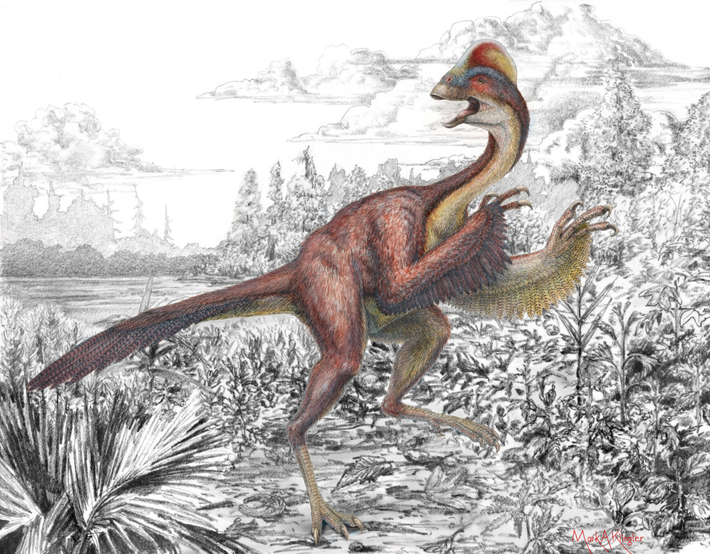 With its head crest and presumably feathered forelegs, the newly discovered and described dinosaur Anzu wyliei was nicknamed the “chicken from hell” by its discoverers at the Carnegie Museum of Natural History, Smithsonian Institution’s National Museum of Natural History and University of Utah. (Image: Mark Klinger/Carnegie Musem)