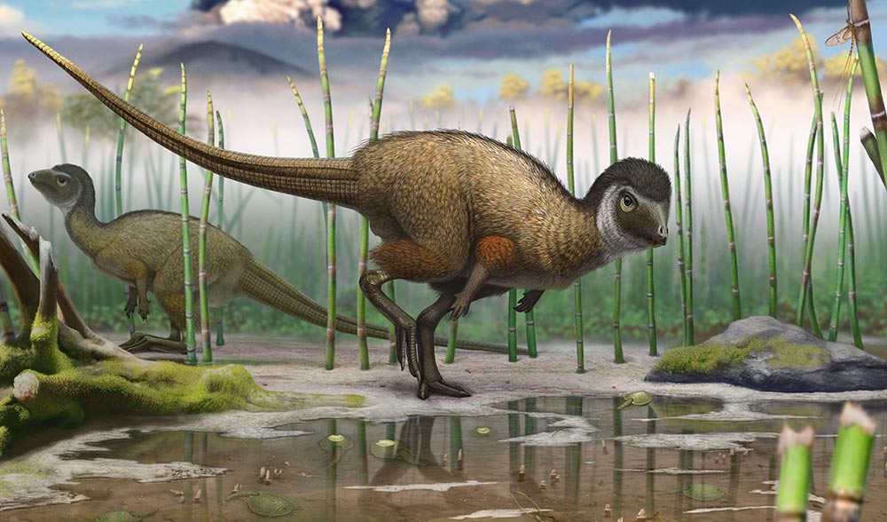 Reconstruction of Kulindadromeus , from the Jurassic of Siberia, in its natural environment. (Image: Andrey Atuchin)